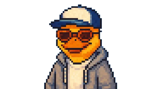 Duck Illustration represent Altaf